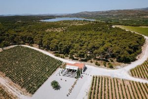 Winetasting and Food in “Testament Winery” and Trip to Primošten, Beautiful Town Beach