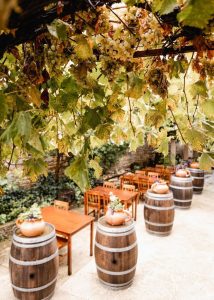 Krka Waterfalls National Park, Food and Winetasting Private Tour