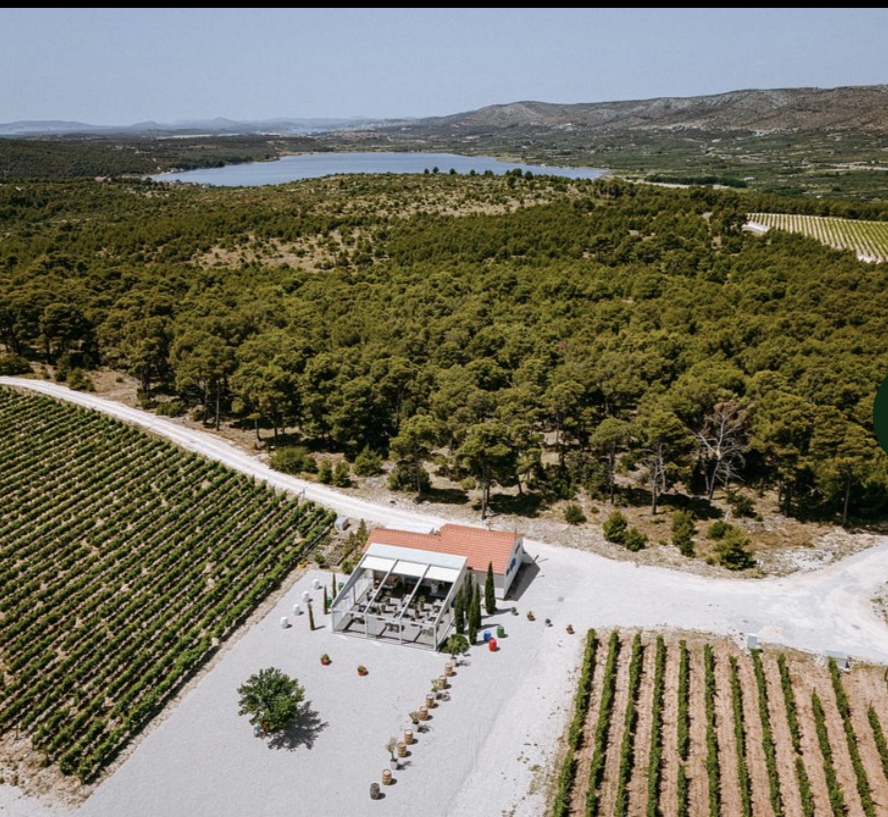 Wine Culture of the Šibenik Region